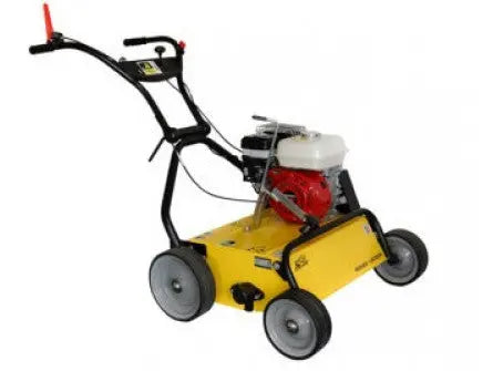 SCARIFICATEUR ROQUE ET LE CŒUR RL 350 H Lomibois